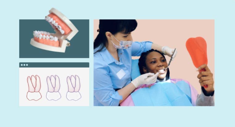 Dental School Application Bootcamp